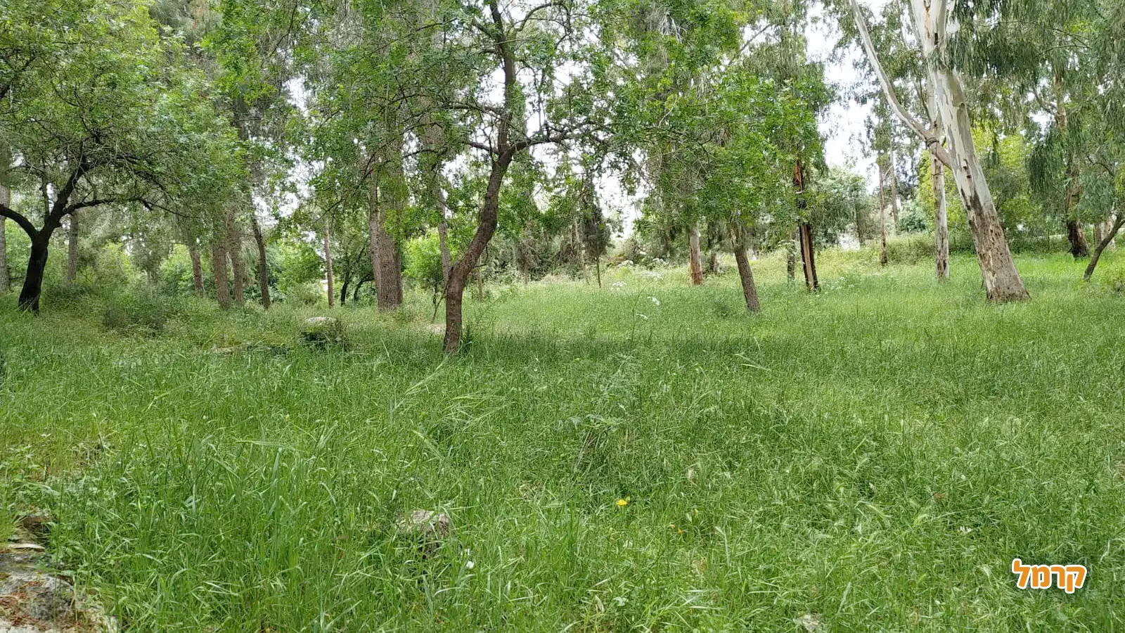 רעיונות מושלמים לבילוי בטבע קרוב לבית